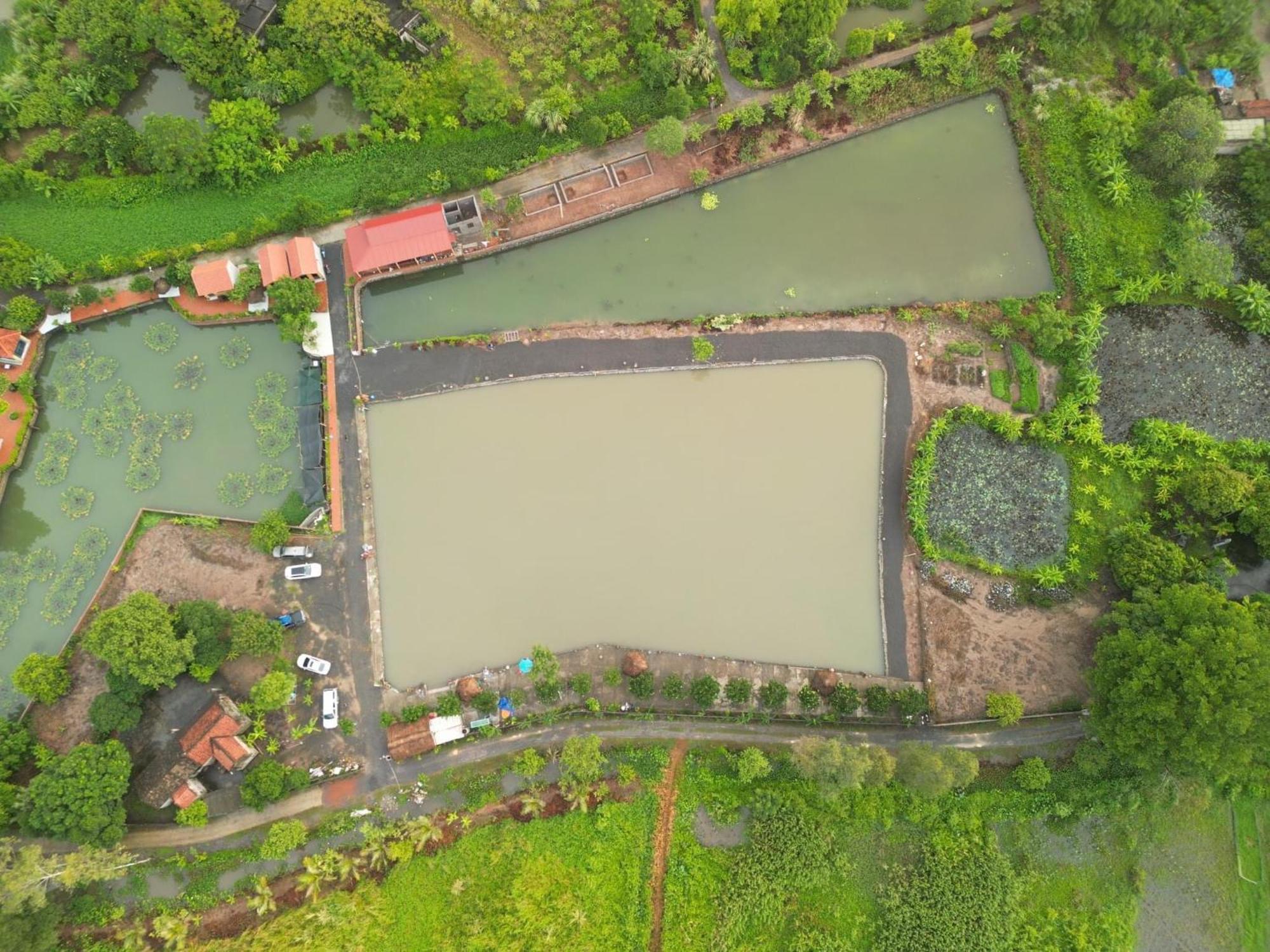Tam Coc Cat Luong Homestay Ніньбінь Екстер'єр фото